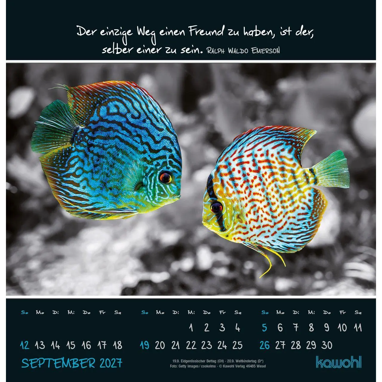 Bild: 9783754825273 | Kleine Wunder entdecken 2027 | Wandkalender mit christlichen Texten
