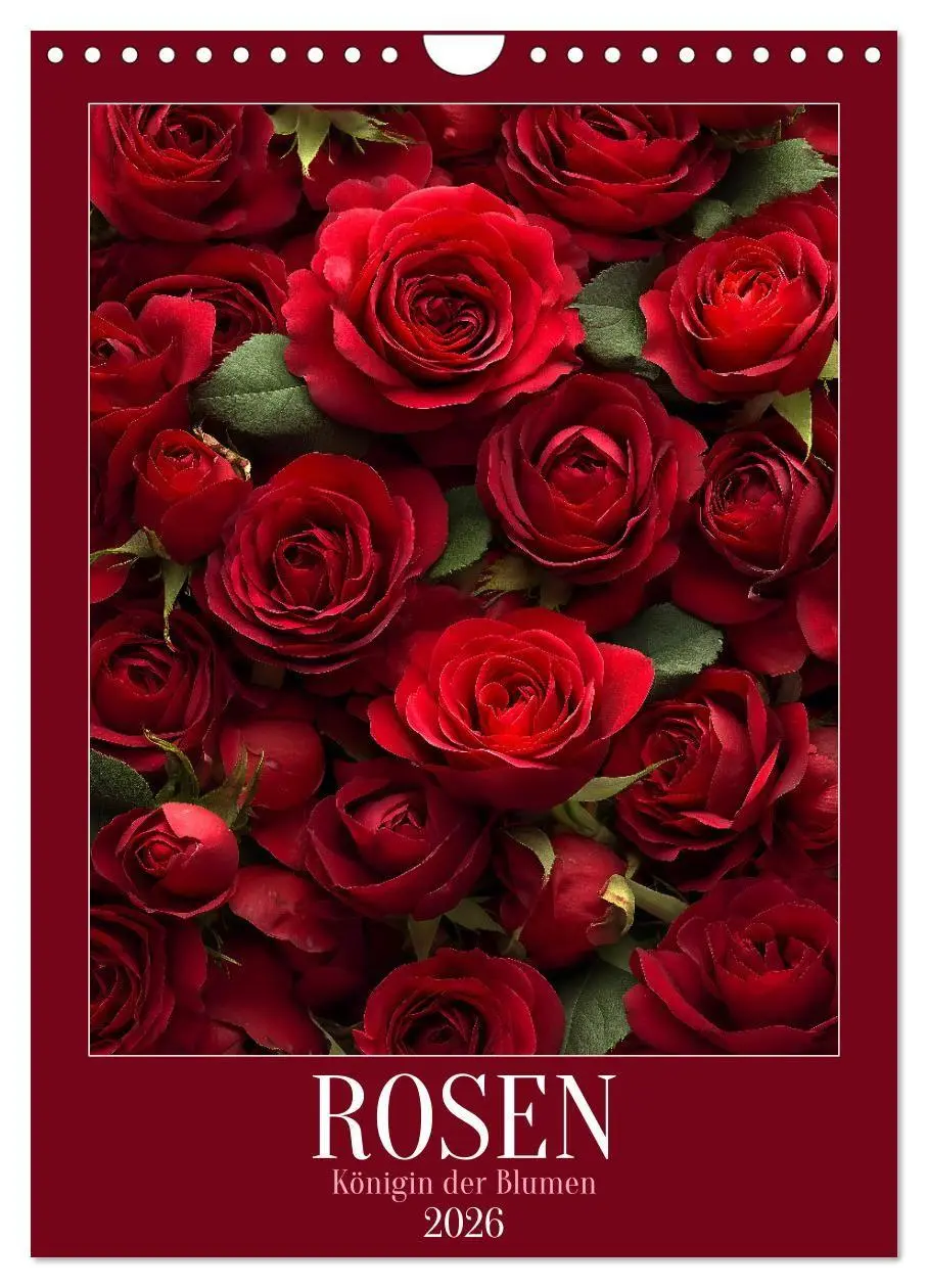 Cover: 9783516695373 | Rosen - Königin der Blumen (Wandkalender 2026 DIN A4 hoch),...