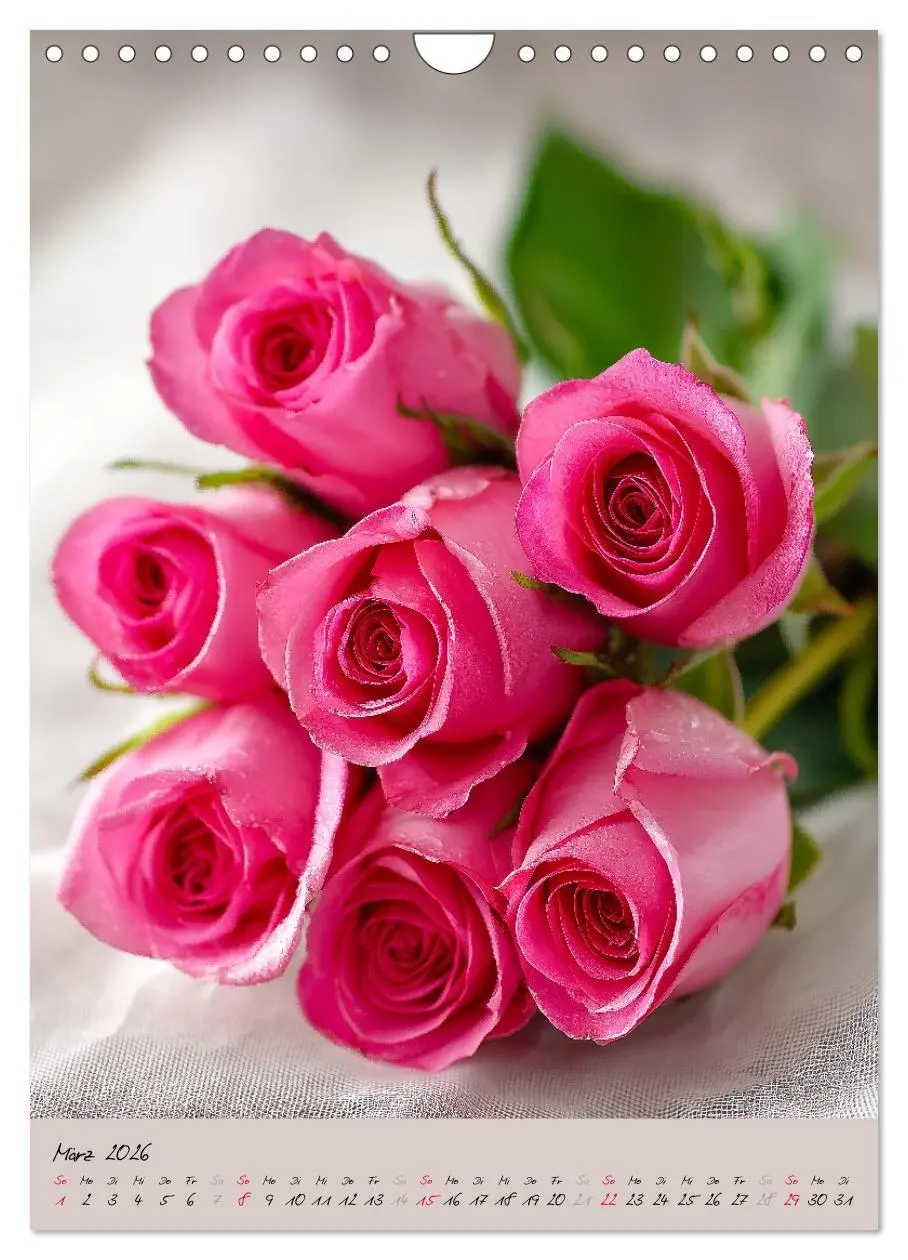 Bild: 9783516695373 | Rosen - Königin der Blumen (Wandkalender 2026 DIN A4 hoch),...
