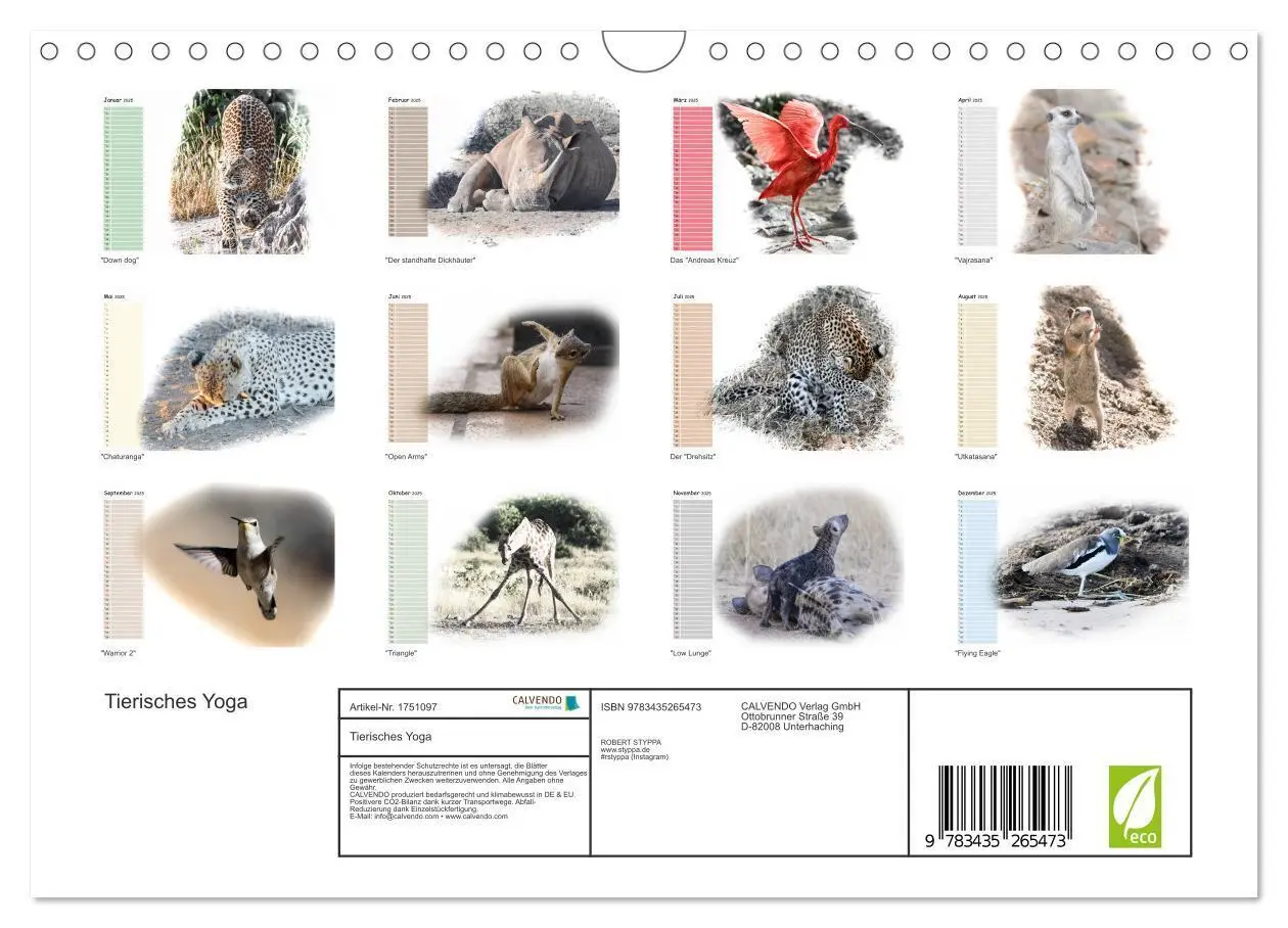 Bild: 9783435265473 | Tierisches Yoga (Wandkalender 2025 DIN A4 quer), CALVENDO...