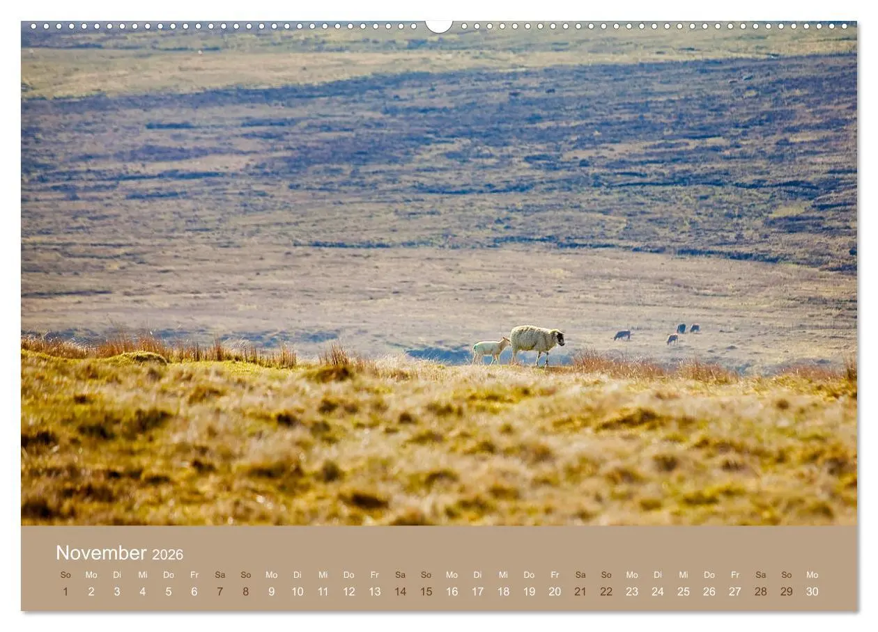 Bild: 9783457895573 | Unter Schafen - Wegbegleiter auf Reisen (Wandkalender 2026 DIN A2...