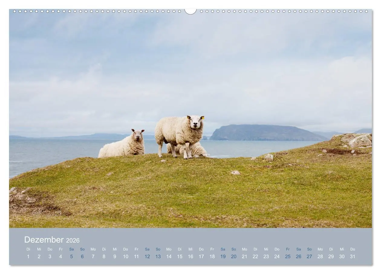 Bild: 9783457895573 | Unter Schafen - Wegbegleiter auf Reisen (Wandkalender 2026 DIN A2...