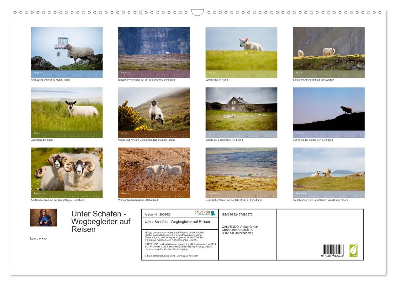 Bild: 9783457895573 | Unter Schafen - Wegbegleiter auf Reisen (Wandkalender 2026 DIN A2...
