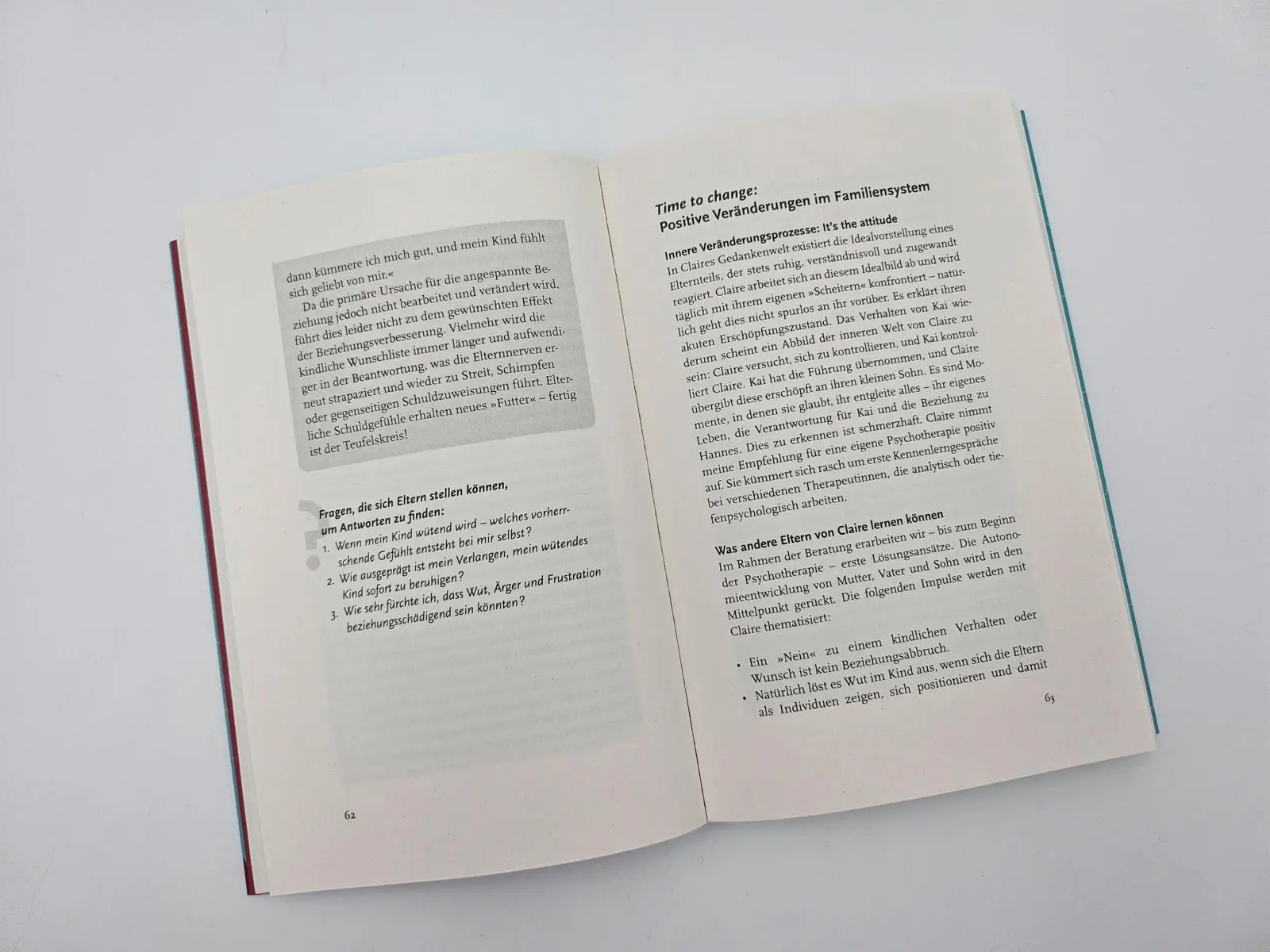 Bild: 9783492065573 | Wild Feelings | Eliane Retz | Taschenbuch | 224 S. | Deutsch | 2025