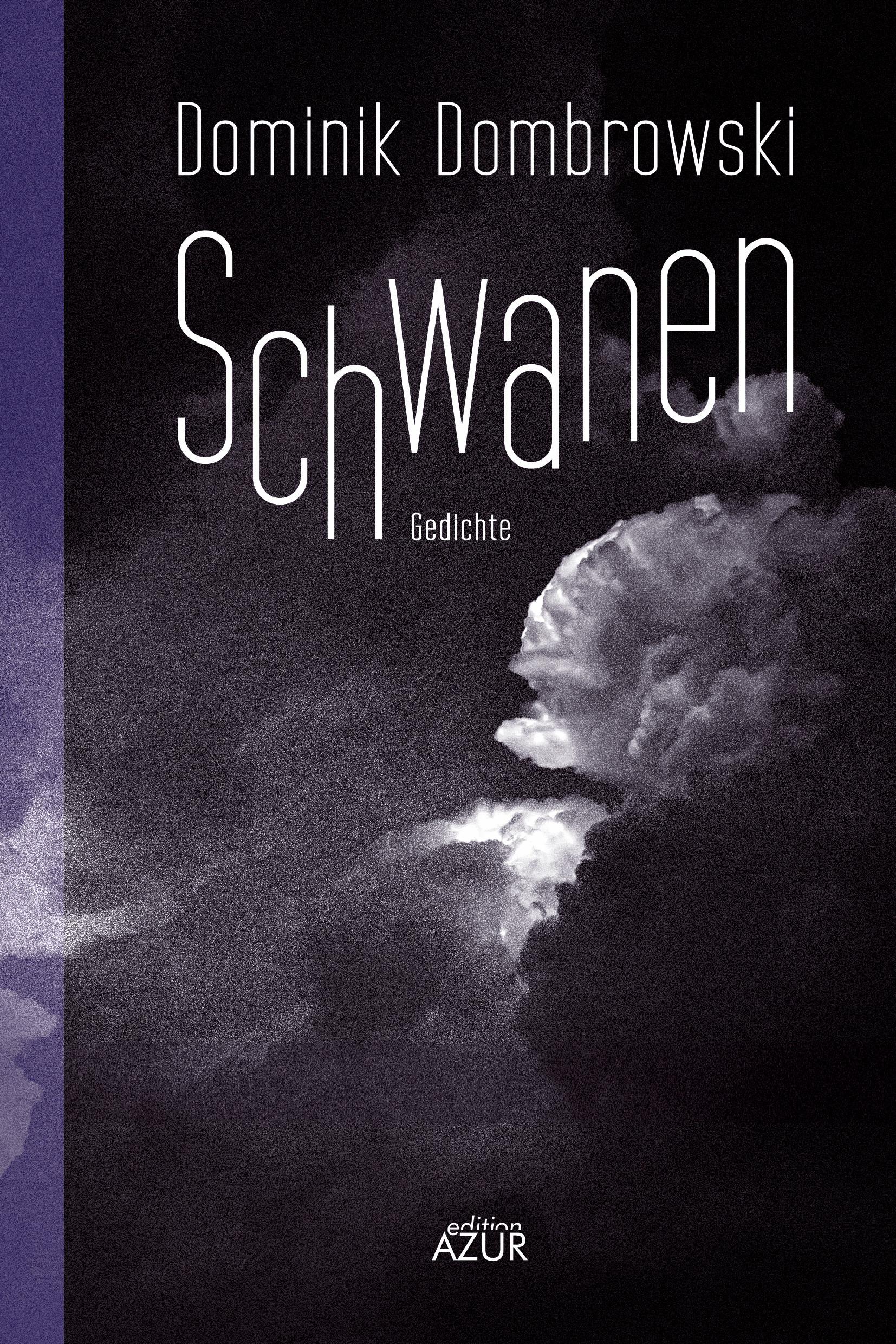 Cover: 9783942375573 | Schwanen. Gedichte | Dominik Dombrowski | Taschenbuch | 72 S. | 2022