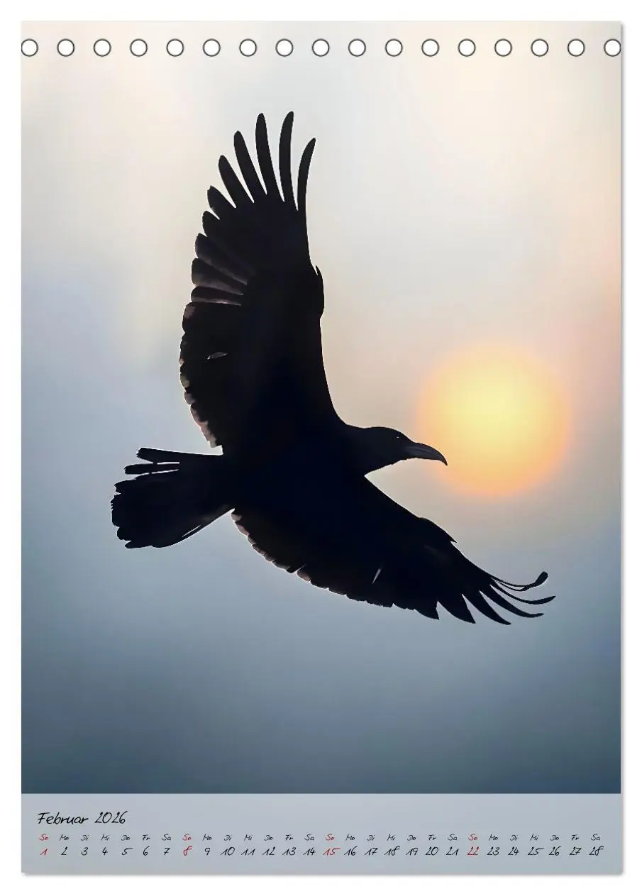 Bild: 9783457265673 | Rabenmond - Ein mystischer Jahresbegleiter (Tischkalender 2026 DIN...