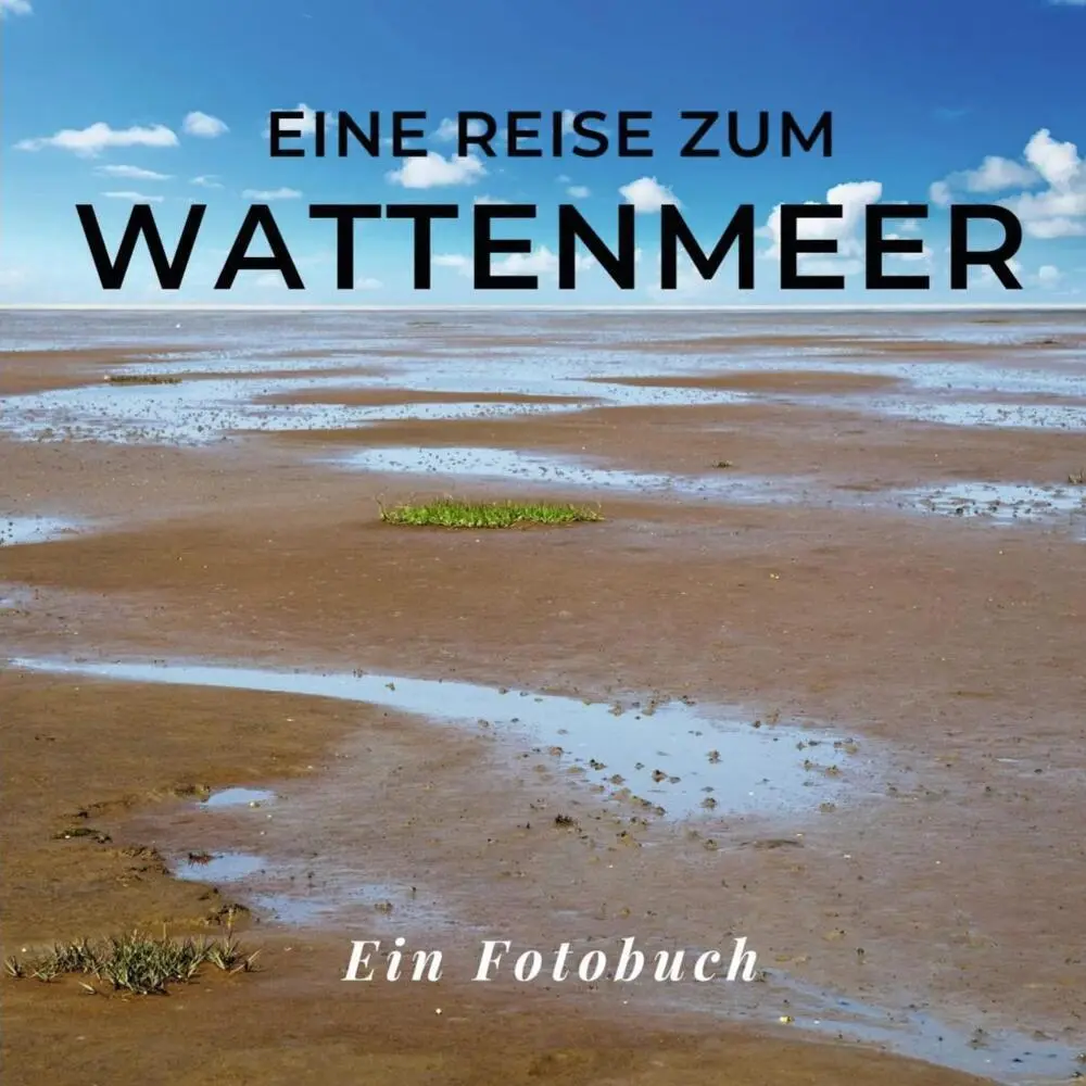 Cover: 9783750515673 | Das Wattenmeer | Tania Sardí | Taschenbuch | 42 S. | Deutsch | 2022