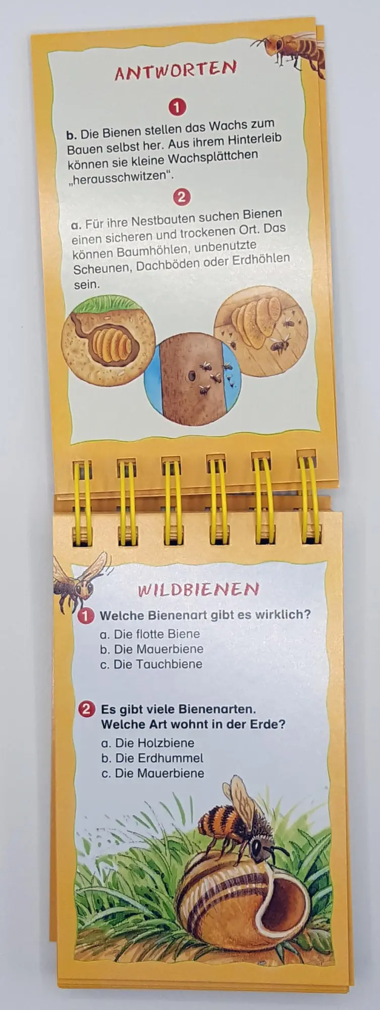 Bild: 9783401715773 | Die Biene und unsere Natur | Rate dich schlau! Quiz | Taschenbuch