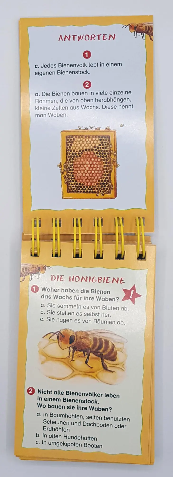 Bild: 9783401715773 | Die Biene und unsere Natur | Rate dich schlau! Quiz | Taschenbuch