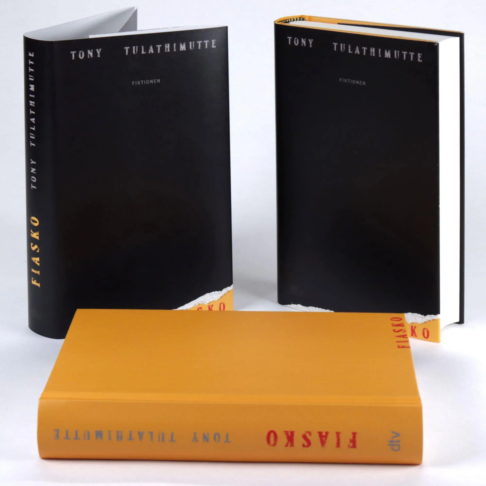 Bild: 9783423285773 | Fiasko | Tony Tulathimutte | Buch | 384 S. | Deutsch | 2026