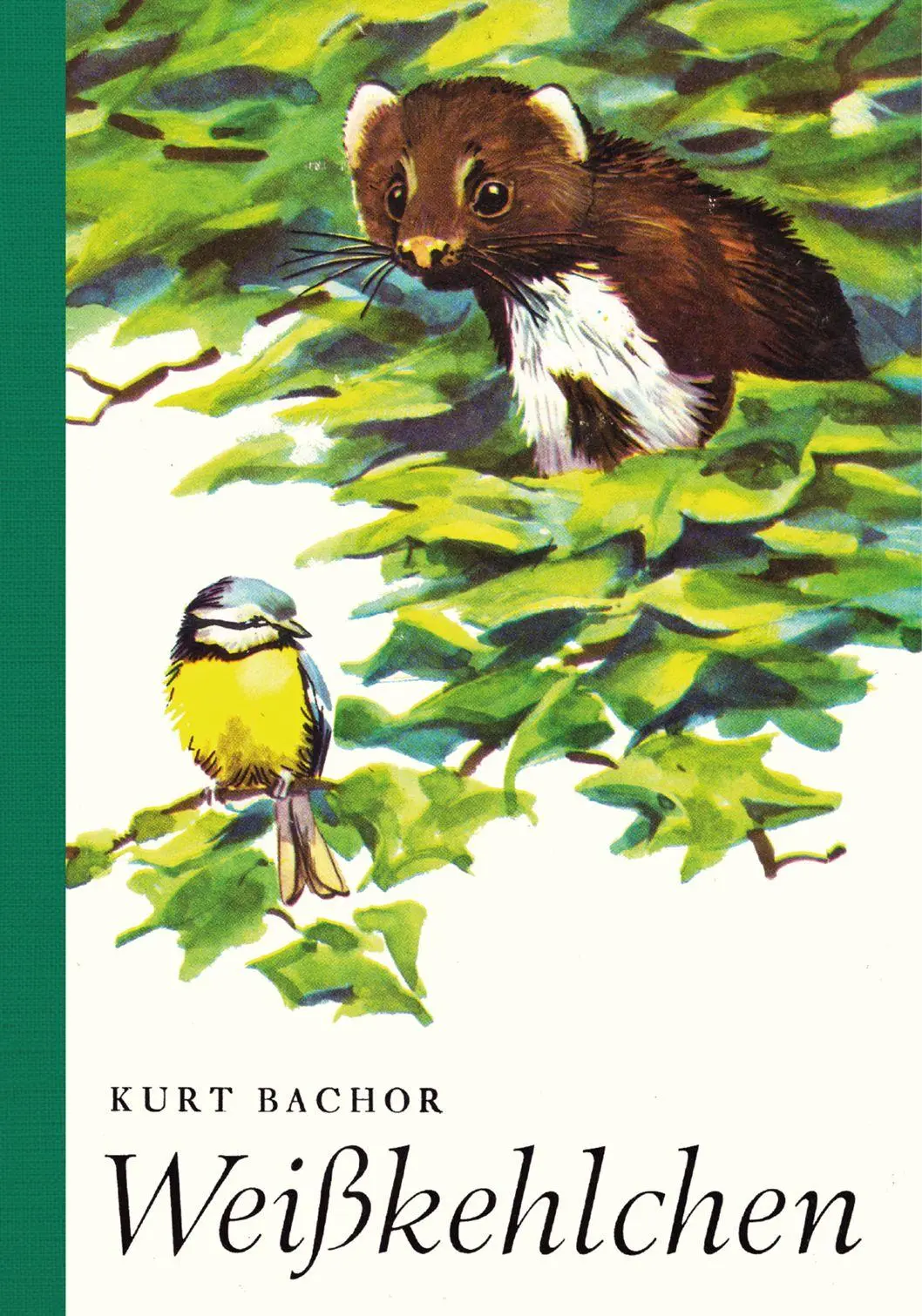 Cover: 9783944575773 | Weißkehlchen | Kurt Bachor | Taschenbuch | Knabes Jugendbuecherei