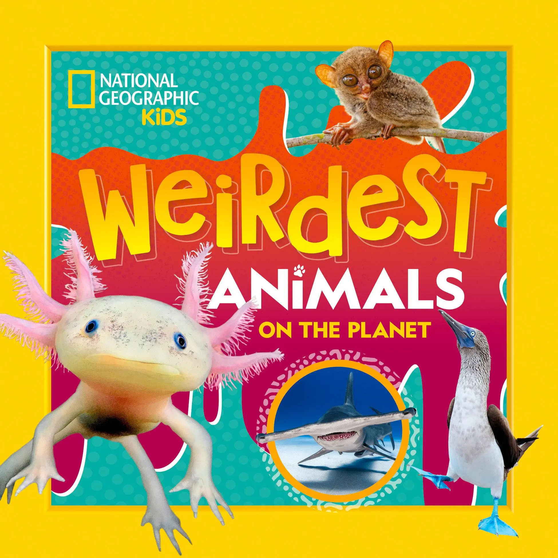 Cover: 9781426375873 | Weirdest Animals on the Planet | National Geographic Kids | Buch
