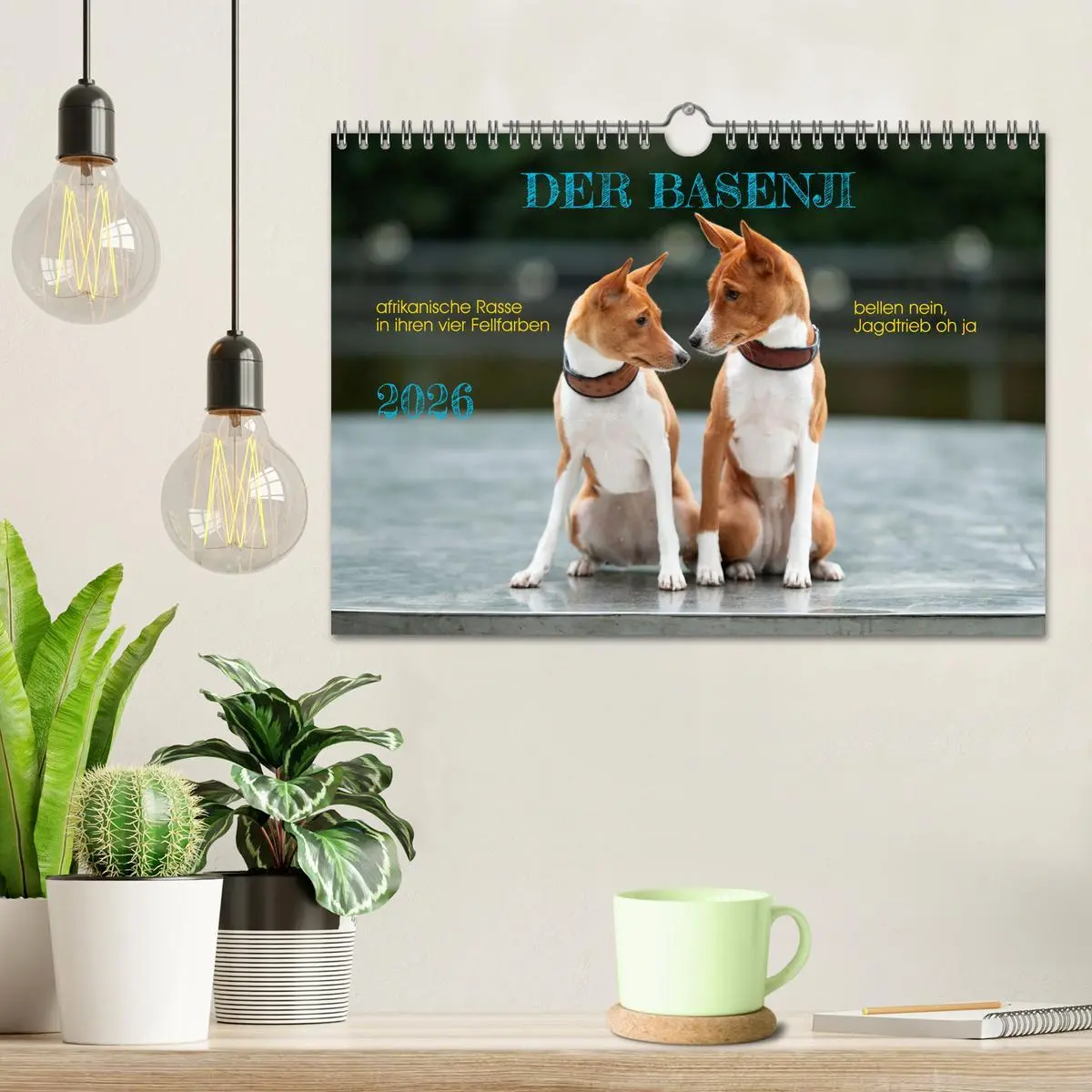 Bild: 9783457315873 | Der Basenji (Wandkalender 2026 DIN A4 quer), CALVENDO Monatskalender