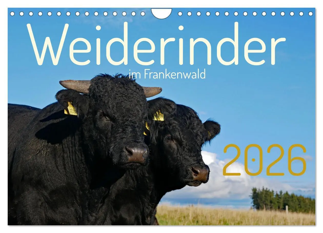 Cover: 9783457555873 | Weiderinder im Frankenwald (Wandkalender 2026 DIN A4 quer),...