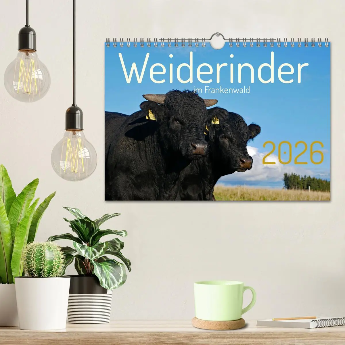 Bild: 9783457555873 | Weiderinder im Frankenwald (Wandkalender 2026 DIN A4 quer),...