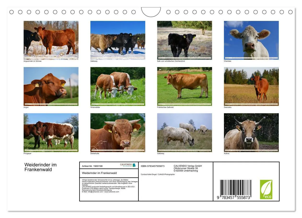 Bild: 9783457555873 | Weiderinder im Frankenwald (Wandkalender 2026 DIN A4 quer),...