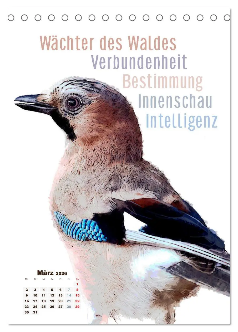 Bild: 9783516405873 | Welche spirituelle Bedeutung hat dieser Vogel? (Tischkalender 2026...