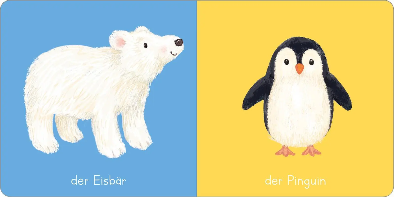 Bild: 9783845865973 | Meine Tiere | mit Knisterumschlag | Sharon Harmer | Buch | 10 S.