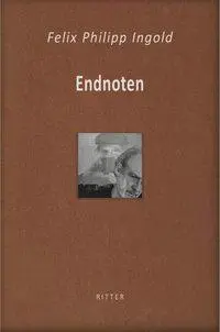 Endnoten - Felix Philipp Ingold Gebunden