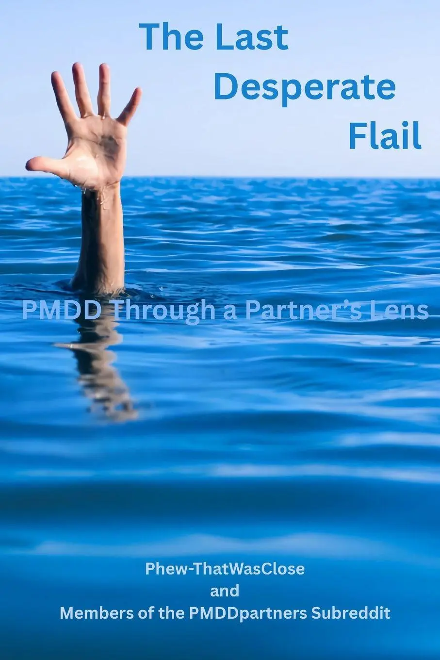 Cover: 9798234045973 | The Last Desperate Flail | PMDD Through a Partner's Lens | Taschenbuch