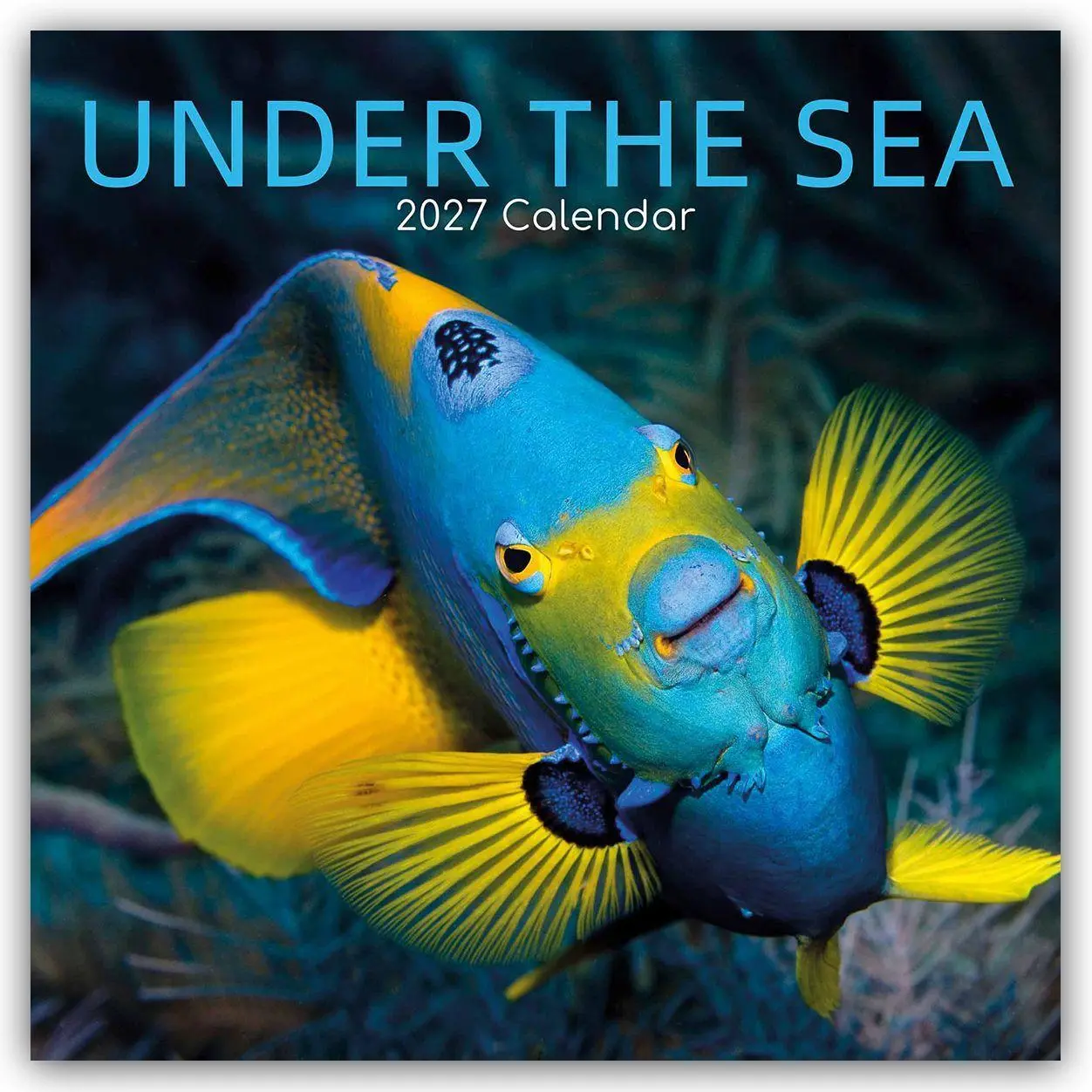 Cover: 9781805976073 | Under the Sea - Tropische Fische 2027 - 16-Monatskalender | Ltd | 2027