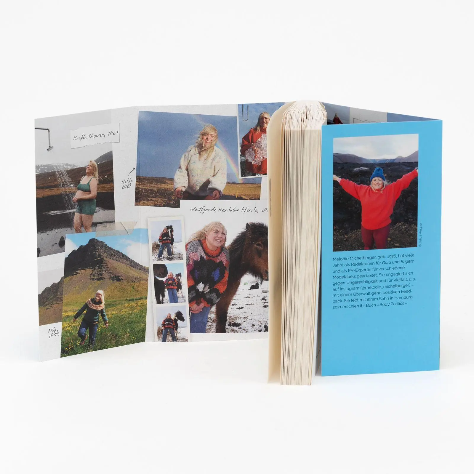 Bild: 9783499016073 | Mein Island | Vom Nichts-Suchen und Alles-Finden | Michelberger | Buch