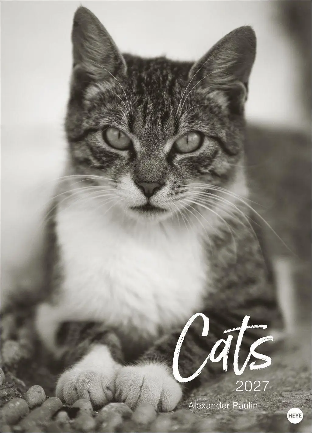 Cover: 9783756416073 | Cats Edition Kalender 2027 | Alexander Paulin | Kalender | 14 S.
