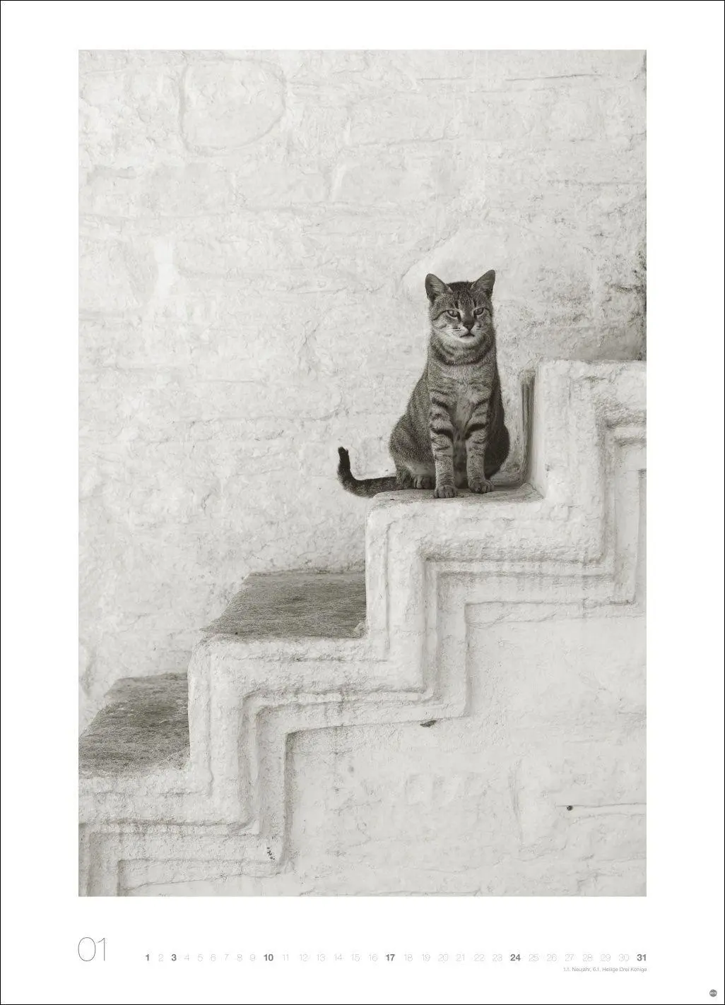 Bild: 9783756416073 | Cats Edition Kalender 2027 | Alexander Paulin | Kalender | 14 S.