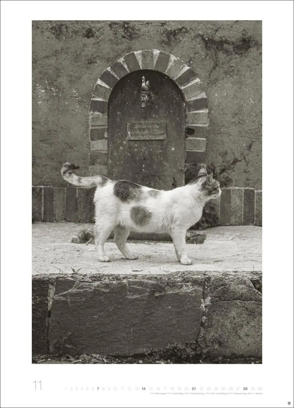Bild: 9783756416073 | Cats Edition Kalender 2027 | Alexander Paulin | Kalender | 14 S.