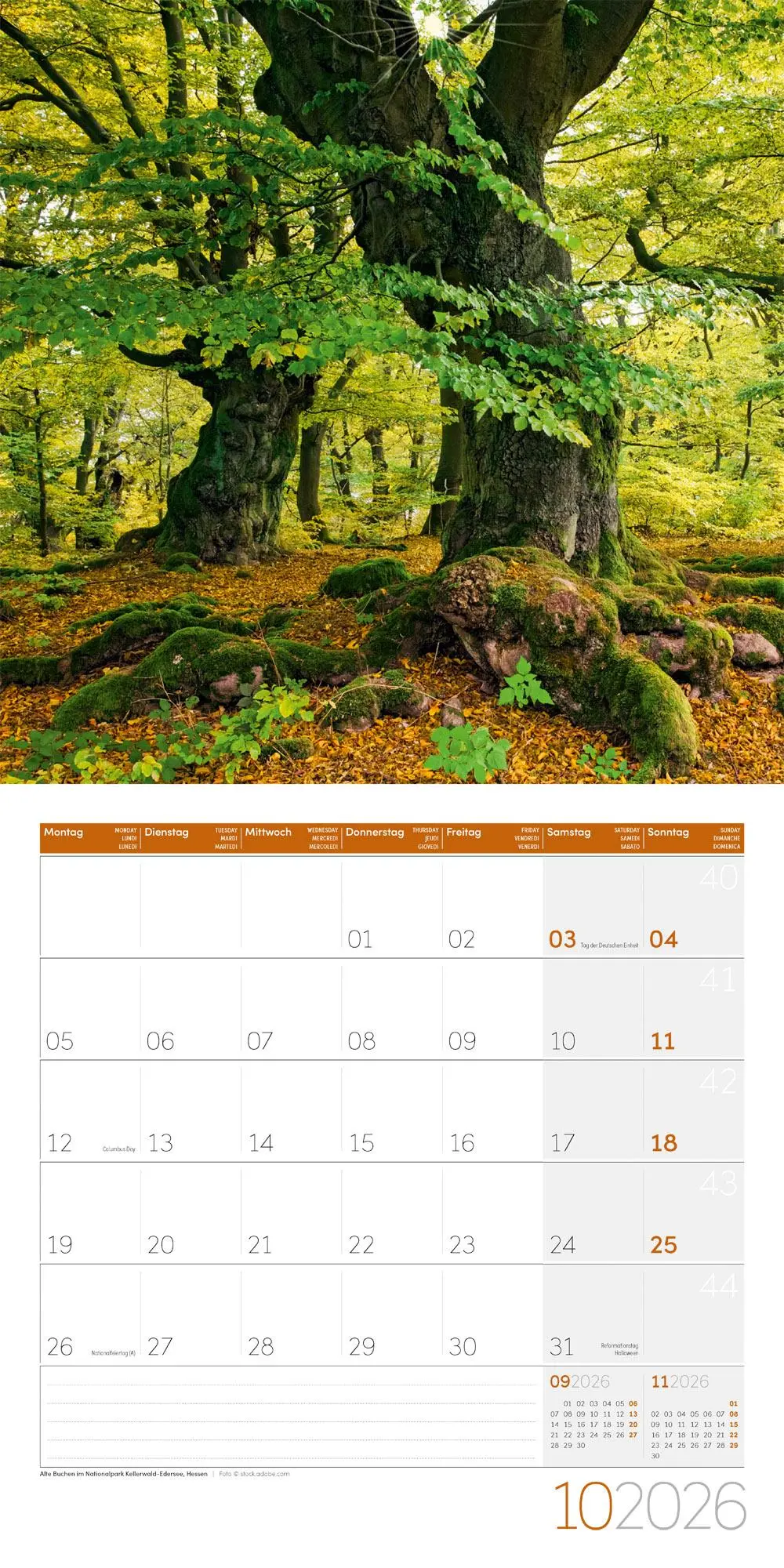 Bild: 9783838446073 | Naturwunder Deutschland Broschürenkalender 2026 - 30x30 - Art12 | GmbH