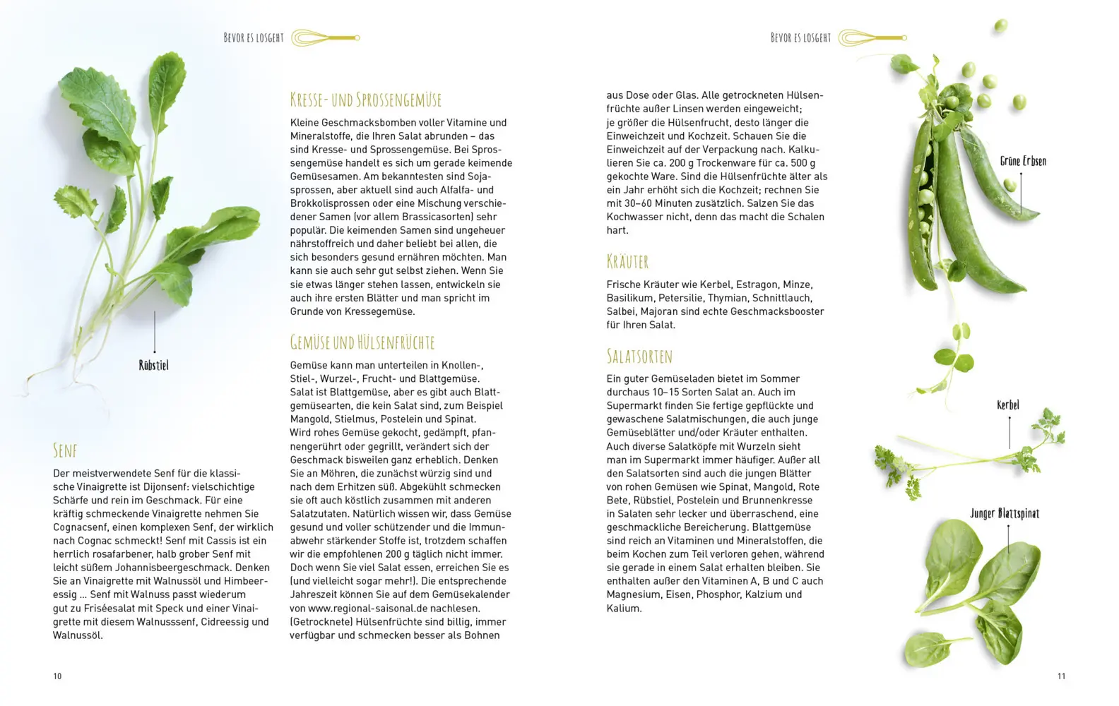 Bild: 9783868836073 | Fantastische Salate | Taschenbuch | 208 S. | Deutsch | 2018 | Riva