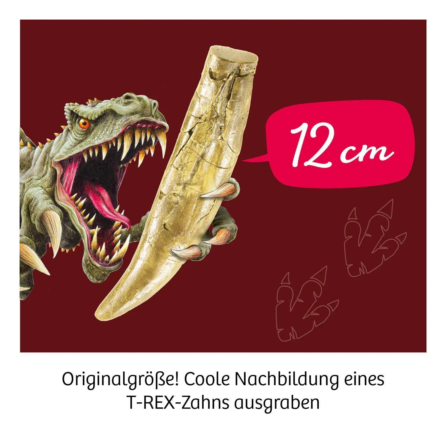Bild: 4002051636173 | T-rex - Zahn | Experimentierkasten | Spiel | Brettspiel | 636173