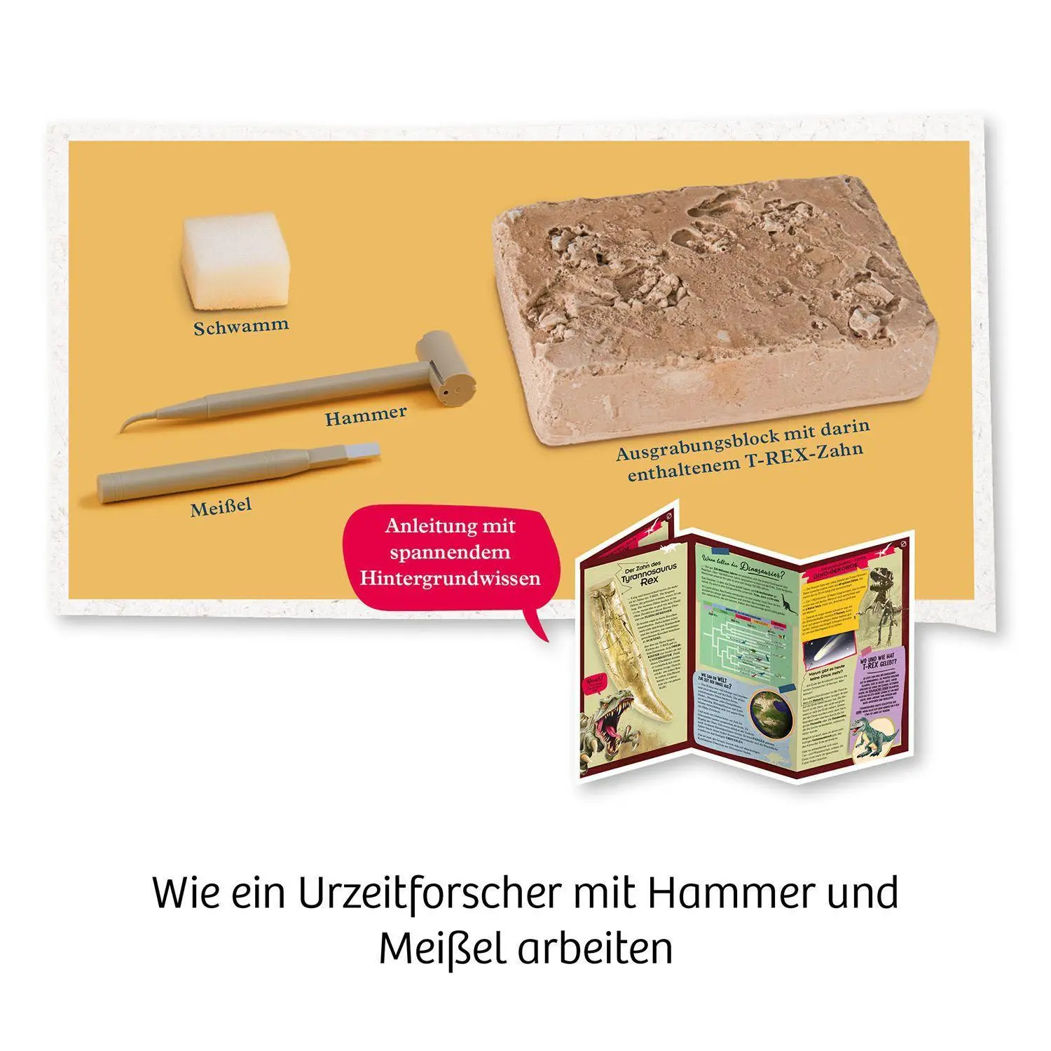 Bild: 4002051636173 | T-rex - Zahn | Experimentierkasten | Spiel | Brettspiel | 636173
