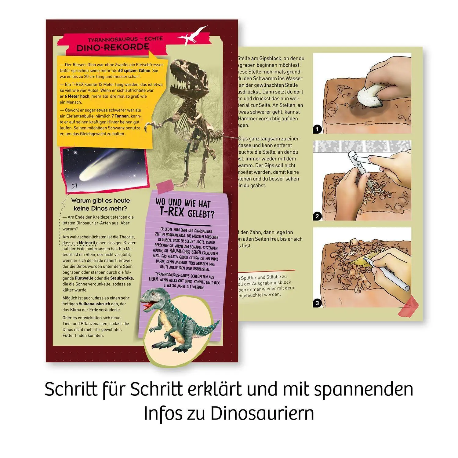 Bild: 4002051636173 | T-rex - Zahn | Experimentierkasten | Spiel | Brettspiel | 636173
