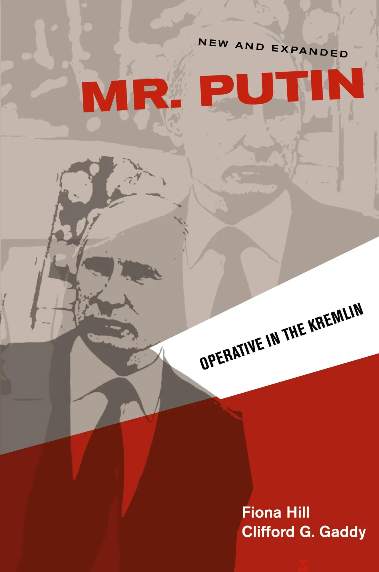 Cover: 9780815726173 | Mr. Putin REV | Operative in the Kremlin | Fiona Hill (u. a.) | Buch