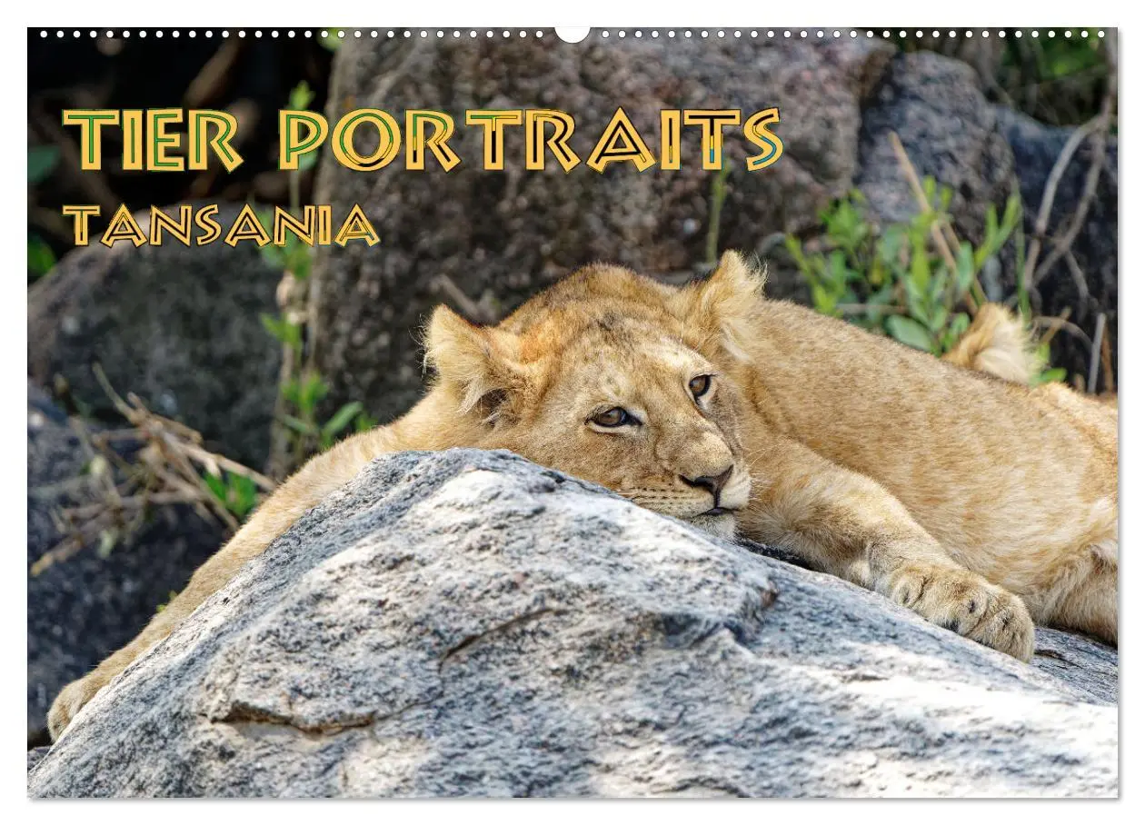 Cover: 9783457356173 | Tier Portraits Tansania (Wandkalender 2026 DIN A2 quer), CALVENDO...