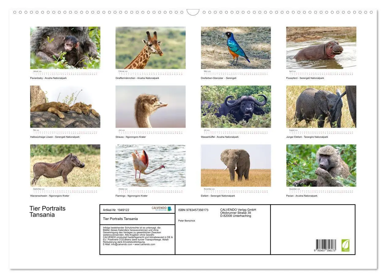 Bild: 9783457356173 | Tier Portraits Tansania (Wandkalender 2026 DIN A2 quer), CALVENDO...
