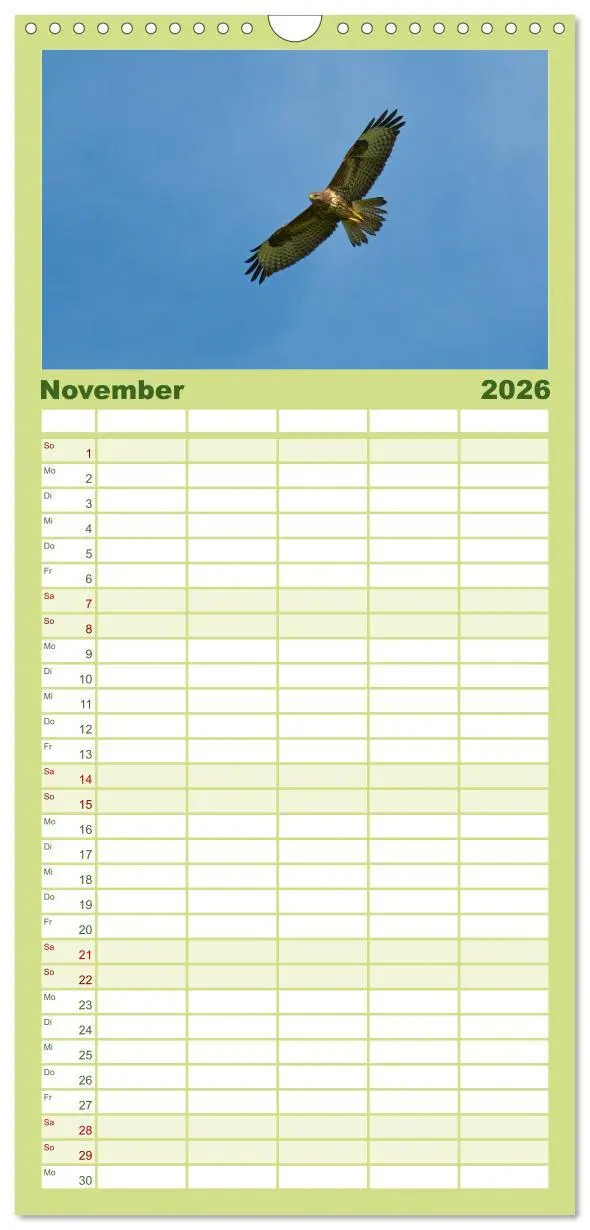 Bild: 9783516516173 | Familienplaner 2026 - Heimische Vögel mit 5 Spalten (Wandkalender,...