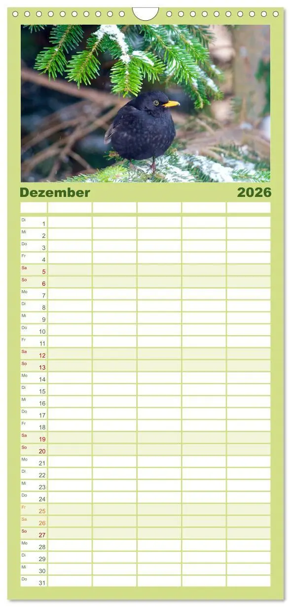 Bild: 9783516516173 | Familienplaner 2026 - Heimische Vögel mit 5 Spalten (Wandkalender,...