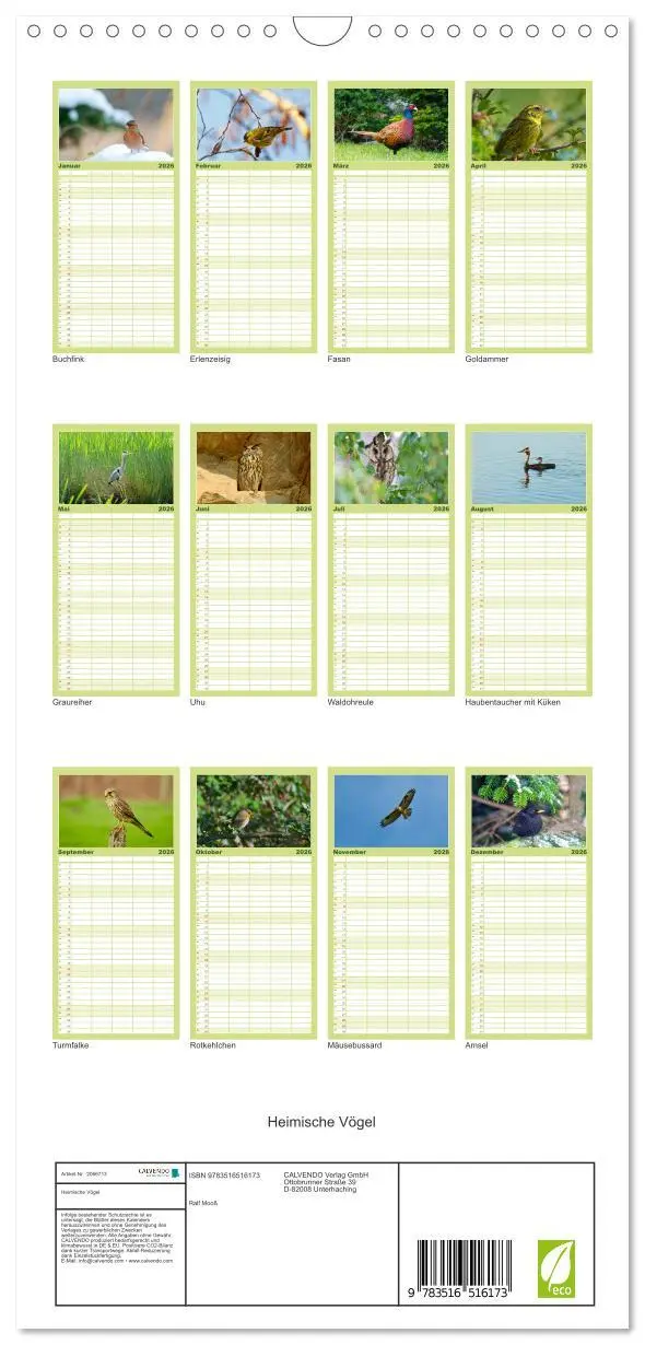 Bild: 9783516516173 | Familienplaner 2026 - Heimische Vögel mit 5 Spalten (Wandkalender,...