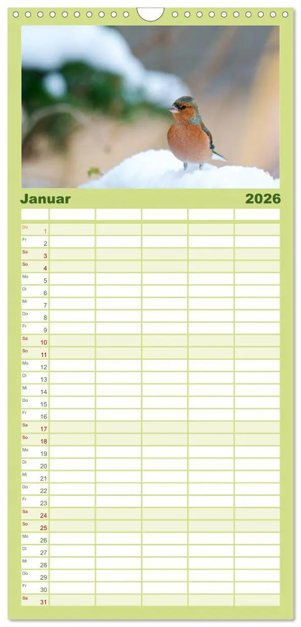 Bild: 9783516516173 | Familienplaner 2026 - Heimische Vögel mit 5 Spalten (Wandkalender,...