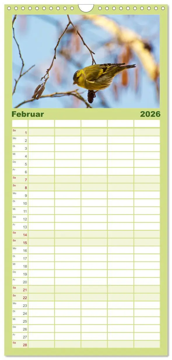 Bild: 9783516516173 | Familienplaner 2026 - Heimische Vögel mit 5 Spalten (Wandkalender,...