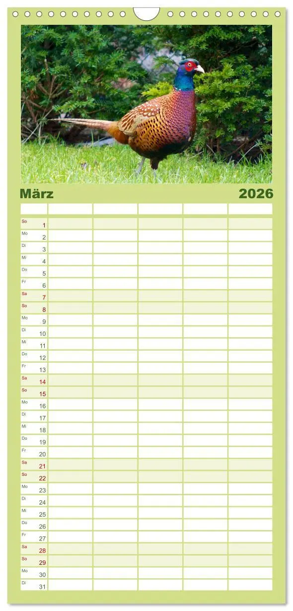 Bild: 9783516516173 | Familienplaner 2026 - Heimische Vögel mit 5 Spalten (Wandkalender,...