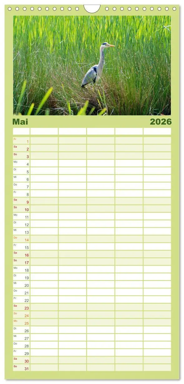 Bild: 9783516516173 | Familienplaner 2026 - Heimische Vögel mit 5 Spalten (Wandkalender,...