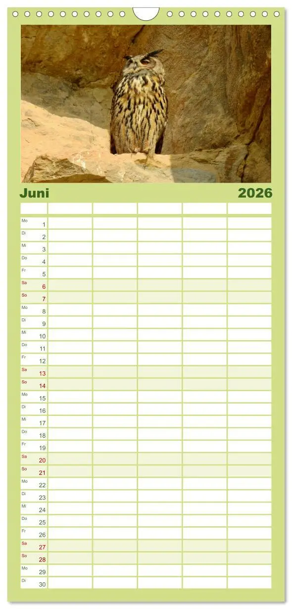 Bild: 9783516516173 | Familienplaner 2026 - Heimische Vögel mit 5 Spalten (Wandkalender,...