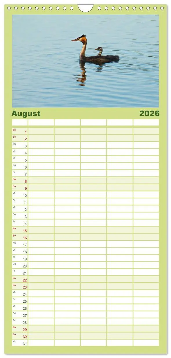Bild: 9783516516173 | Familienplaner 2026 - Heimische Vögel mit 5 Spalten (Wandkalender,...