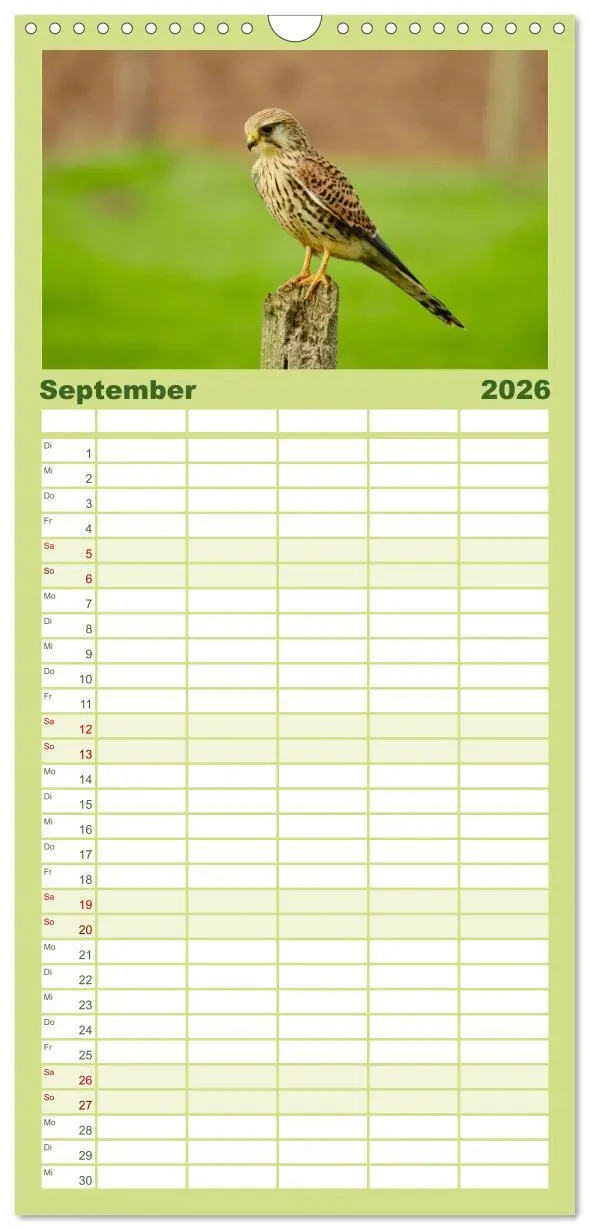 Bild: 9783516516173 | Familienplaner 2026 - Heimische Vögel mit 5 Spalten (Wandkalender,...