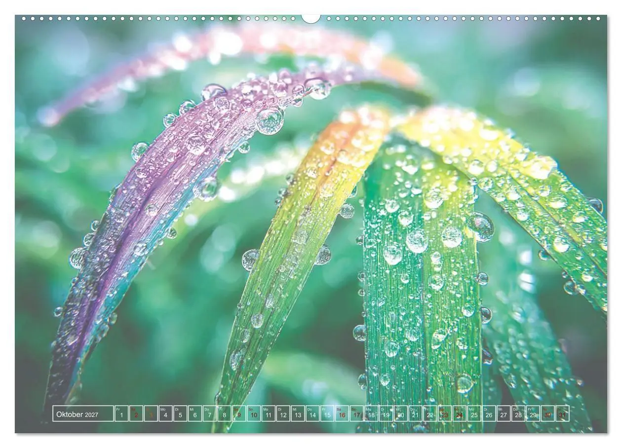 Bild: 9783516756173 | Lichtspiele der Natur (hochwertiger Premium Wandkalender 2027 DIN...