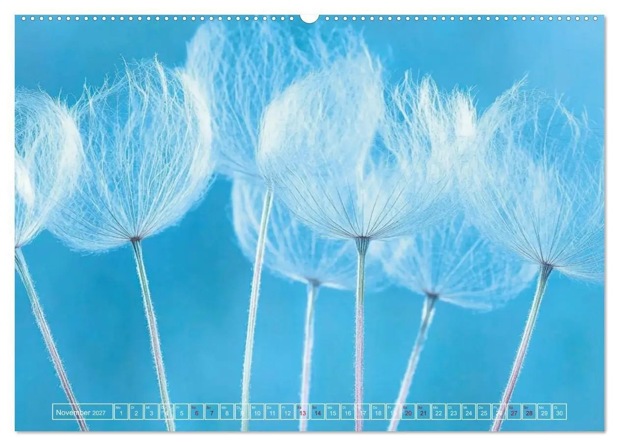 Bild: 9783516756173 | Lichtspiele der Natur (hochwertiger Premium Wandkalender 2027 DIN...