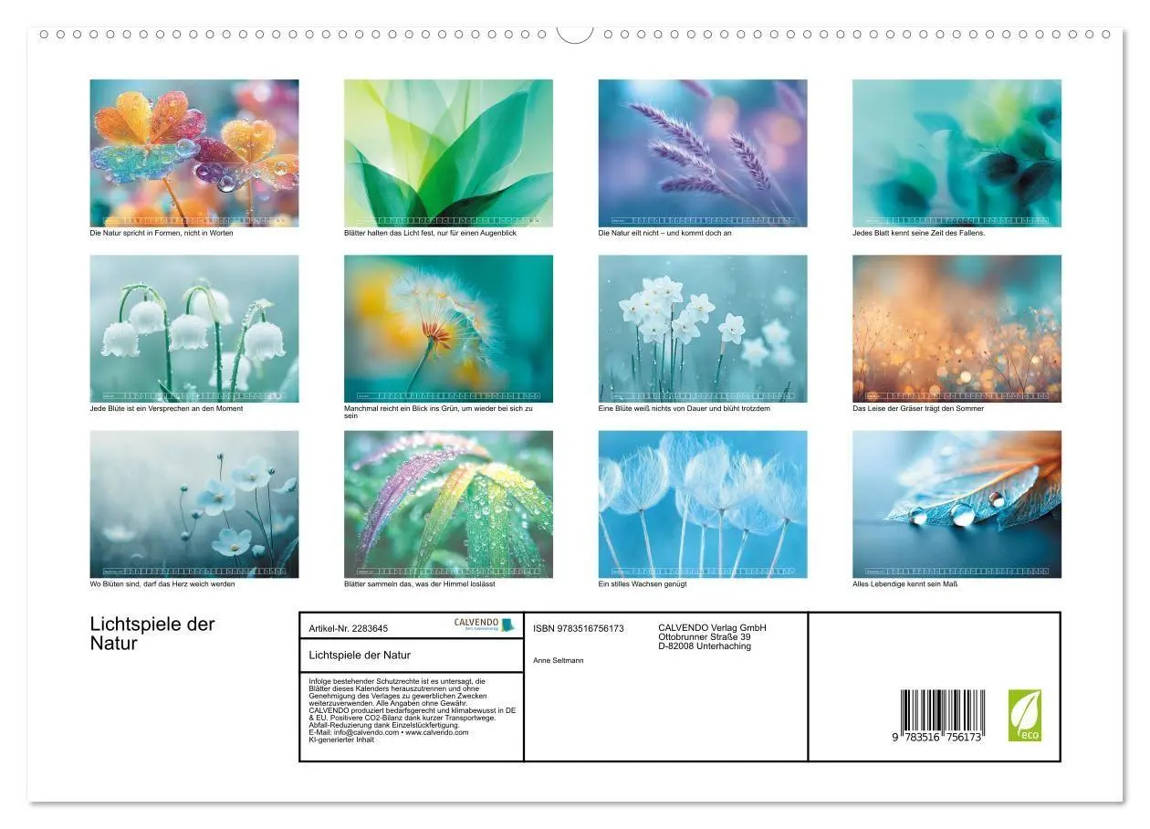 Bild: 9783516756173 | Lichtspiele der Natur (hochwertiger Premium Wandkalender 2027 DIN...